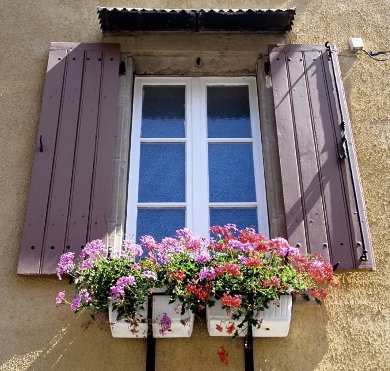 Shutter Handle Repair in Denver, CO